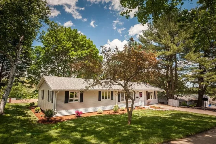 reed-st-pic-dp.com_ reed-st-pic-dp.com_